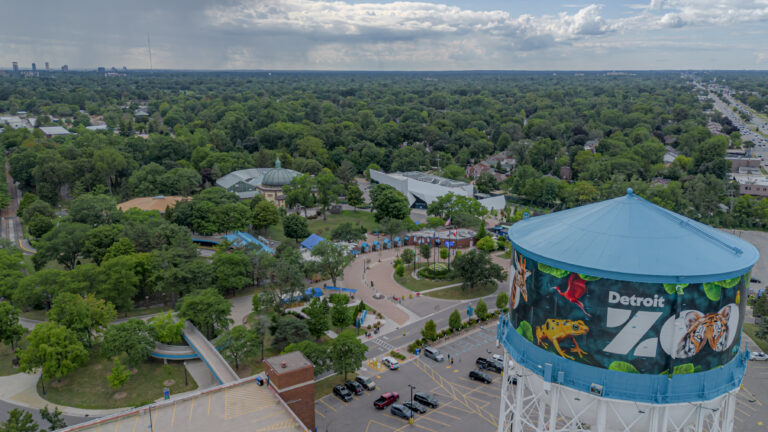 Is the Detroit Zoo Sensory Friendly? A Guide for Metro Detroit Families
